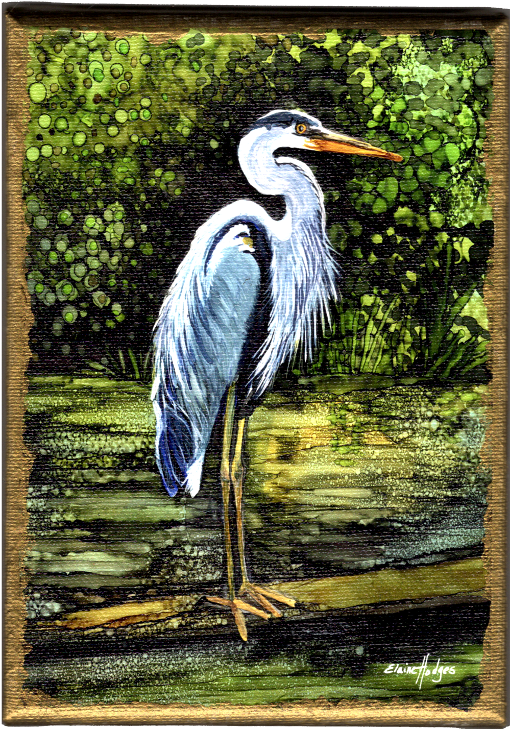 Blue Heron on Bayou Stretched Canvas
