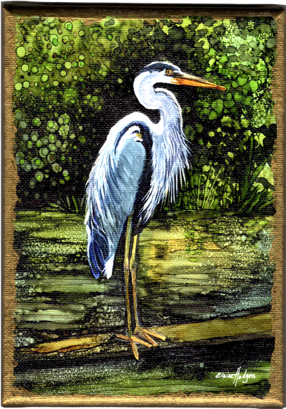 Blue Heron on Bayou Stretched Canvas