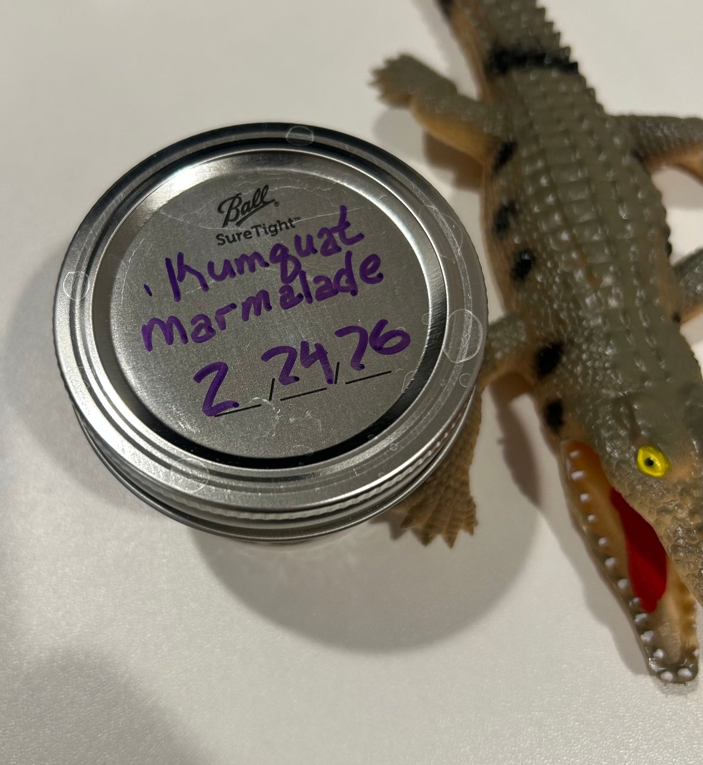 Louisiana Kumquat Marmalade