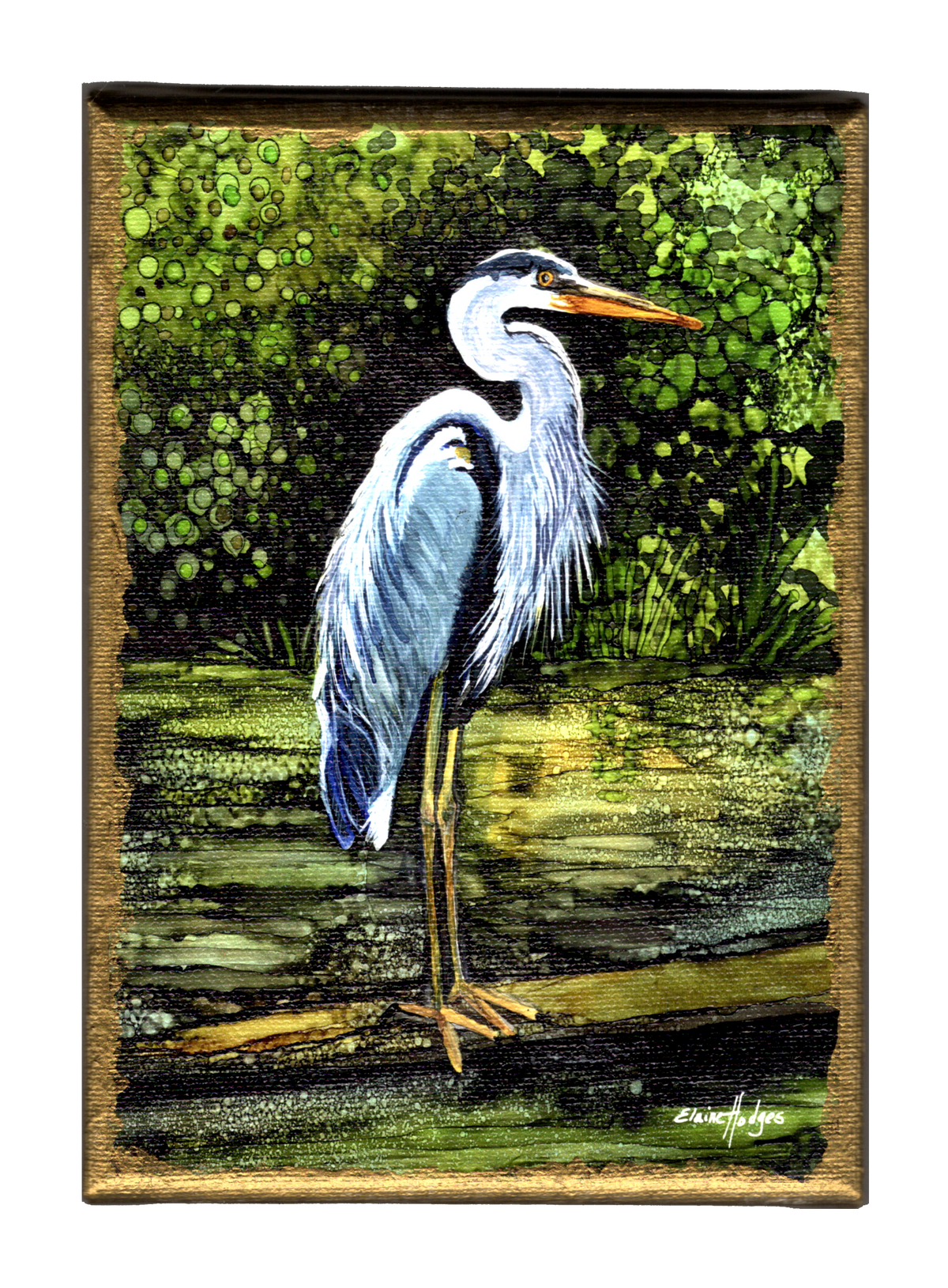 Blue Heron on Bayou Stretched Canvas